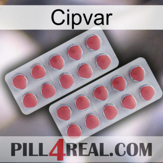 Cipvar 19
